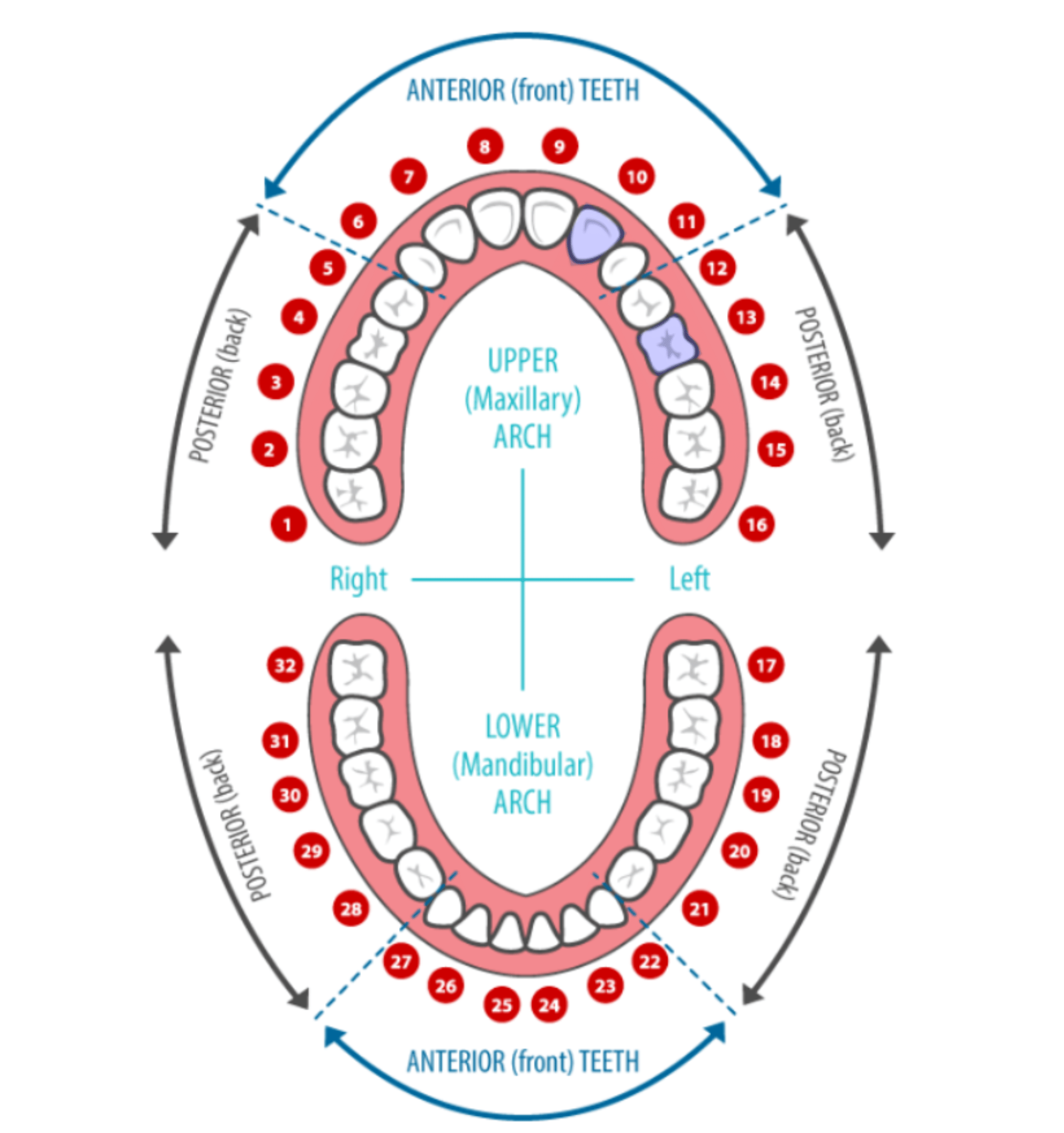 Select step illustration